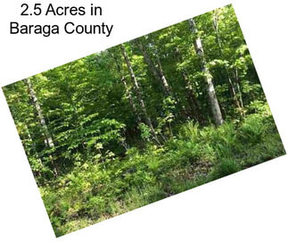 2.5 Acres in Baraga County