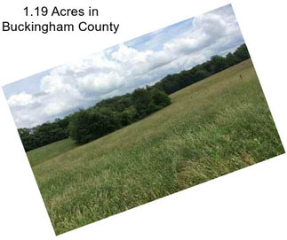 1.19 Acres in Buckingham County