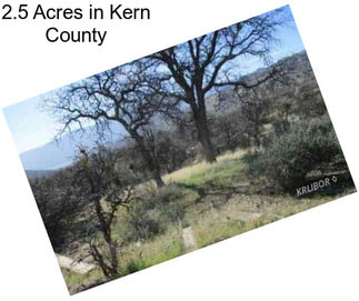 2.5 Acres in Kern County