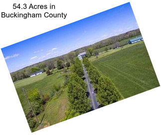 54.3 Acres in Buckingham County