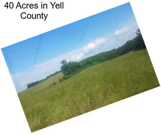 40 Acres in Yell County