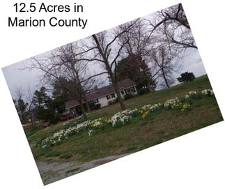 12.5 Acres in Marion County