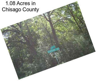 1.08 Acres in Chisago County