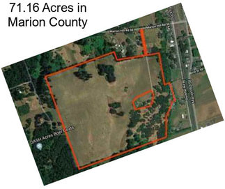 71.16 Acres in Marion County