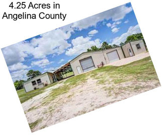 4.25 Acres in Angelina County
