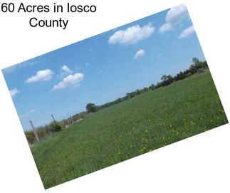 60 Acres in Iosco County