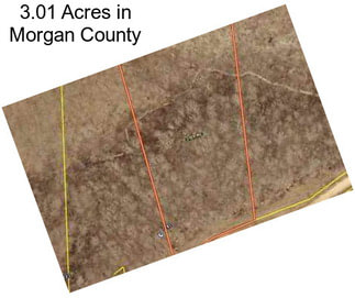 3.01 Acres in Morgan County