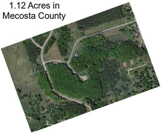 1.12 Acres in Mecosta County