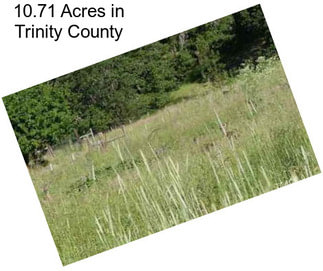 10.71 Acres in Trinity County