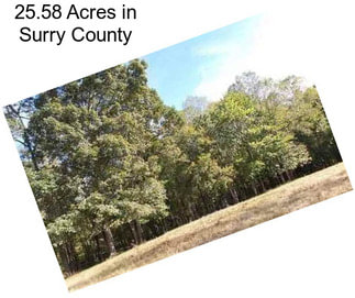 25.58 Acres in Surry County