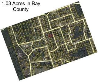 1.03 Acres in Bay County