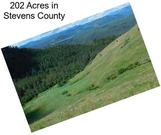 202 Acres in Stevens County