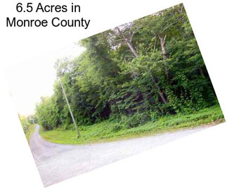 6.5 Acres in Monroe County