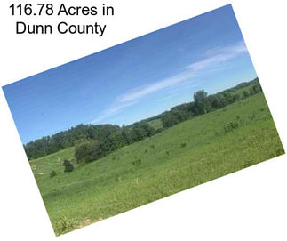 116.78 Acres in Dunn County