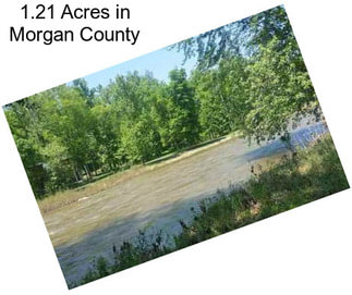 1.21 Acres in Morgan County