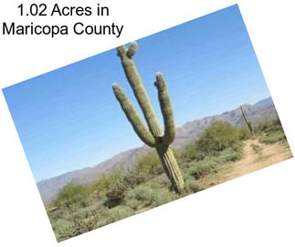 1.02 Acres in Maricopa County