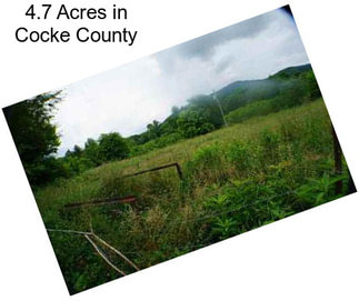 4.7 Acres in Cocke County