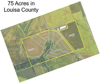 75 Acres in Louisa County