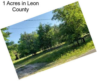 1 Acres in Leon County