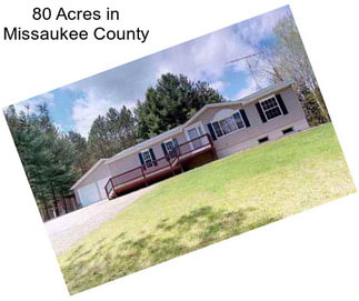 80 Acres in Missaukee County