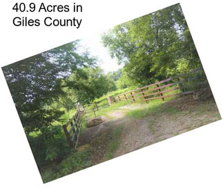 40.9 Acres in Giles County