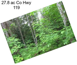 27.8 ac Co Hwy 119