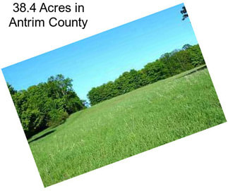 38.4 Acres in Antrim County