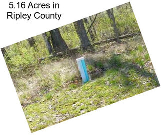 5.16 Acres in Ripley County