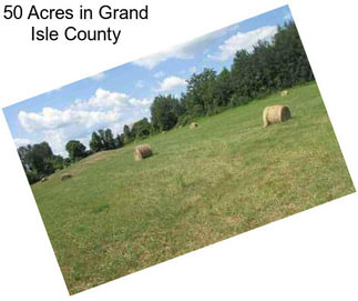 50 Acres in Grand Isle County