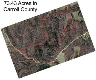 73.43 Acres in Carroll County