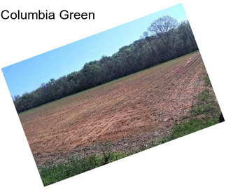 Columbia Green