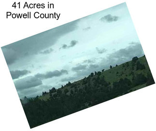 41 Acres in Powell County