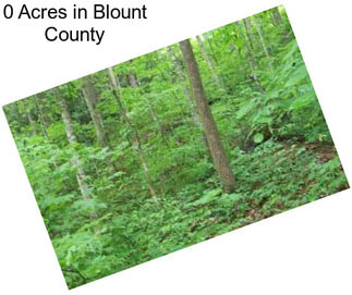 0 Acres in Blount County