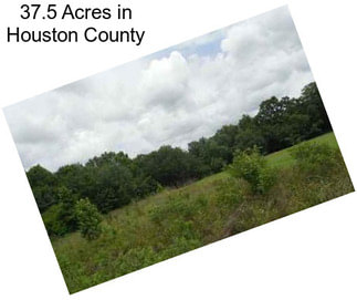 37.5 Acres in Houston County
