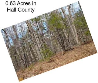 0.63 Acres in Hall County