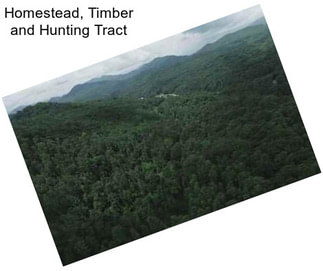 Homestead, Timber and Hunting Tract