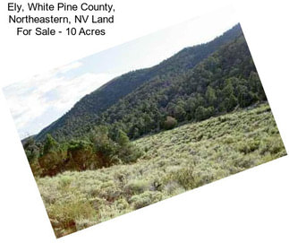 Ely, White Pine County, Northeastern, NV Land For Sale - 10 Acres