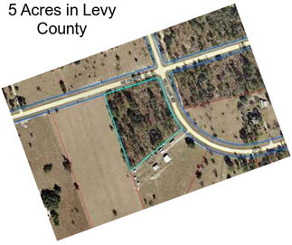 5 Acres in Levy County