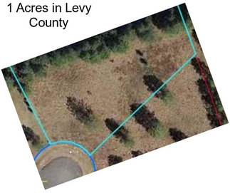 1 Acres in Levy County