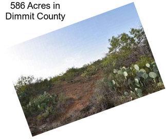 586 Acres in Dimmit County