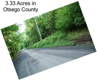 3.33 Acres in Otsego County