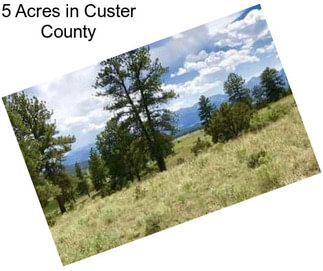 5 Acres in Custer County