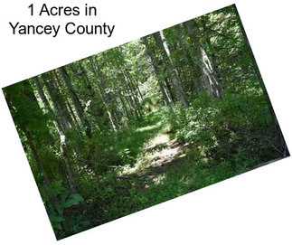 1 Acres in Yancey County