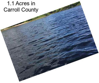 1.1 Acres in Carroll County
