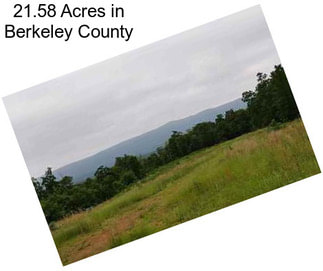 21.58 Acres in Berkeley County