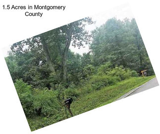 1.5 Acres in Montgomery County