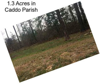1.3 Acres in Caddo Parish