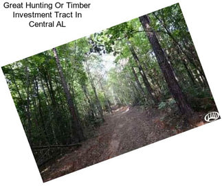 Great Hunting Or Timber Investment Tract In Central AL