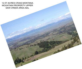 12.57 ACRES CRAIG MONTANA MOUNTAIN PROPERTY UPPER SAW CREEK AREA ADL