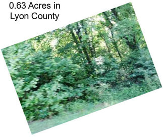 0.63 Acres in Lyon County